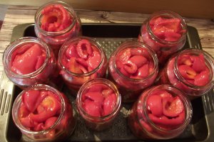 Gogosari in sos de rosii