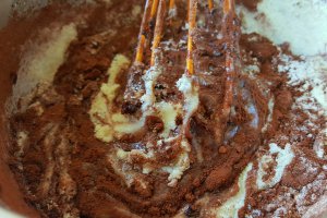 Desert bomboane de ciocolata cu alune de padure