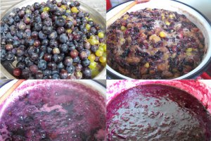 Dulceata din struguri negri