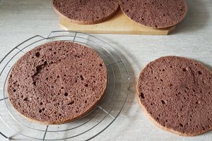 Desert tort cu crema de ciocolata, afine si zmeura - Reteta 800