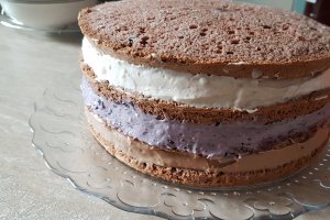 Desert tort cu crema de ciocolata, afine si zmeura - Reteta 800