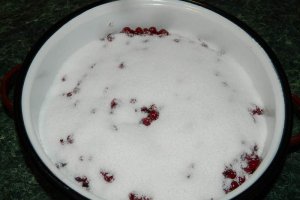 Dulceata de coacaze rosii