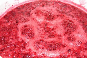 Dulceata de coacaze rosii