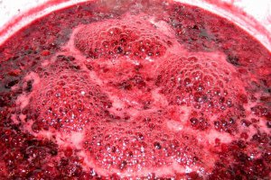 Dulceata de coacaze rosii