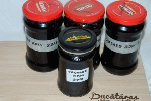 Dulceata de coacaze rosii