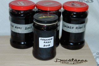 Dulceata de coacaze rosii
