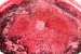 Dulceata de coacaze rosii-6