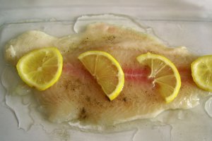 Pangasius cu sos olandez