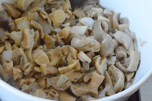 Ciulama de ciuperci
