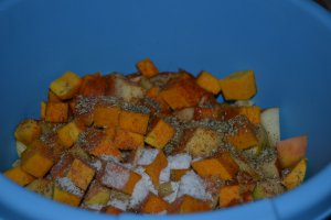 Rata umpluta cu mere, gutui, dovleac si cartofi la slow cooker Crock-Pot