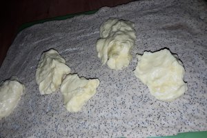 Desert prajitura cu mac si crema de vanilie