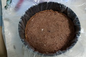 Desert tort Fanta