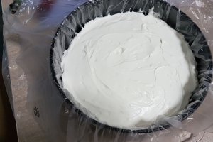 Desert tort Fanta