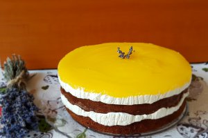 Desert tort Fanta
