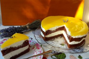 Desert tort Fanta