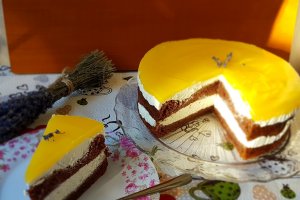 Desert tort Fanta
