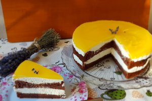 Desert tort Fanta