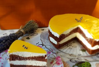 Desert tort Fanta