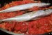 Macrou proaspat cu scoici, chorizo si rosii-5