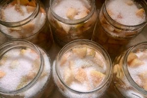 Compot de gutui