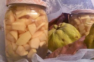 Compot de gutui