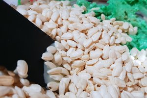 Desert Frankenstein treats