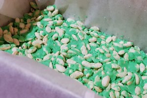 Desert Frankenstein treats