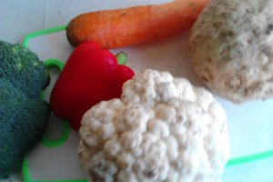 Piept de rata cu legume de toamna
