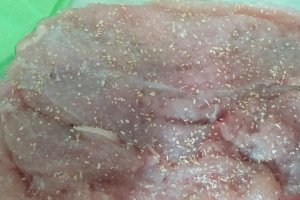 Piept de curcan cu cascaval, ardei copt si garnitura de orez