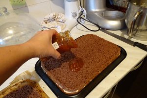 Desert prajitura gemi de placere