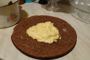 Desert tort Leo