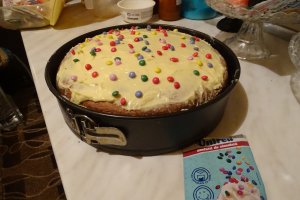 Desert tort Leo