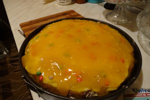 Desert tort Leo