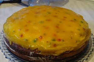 Desert tort Leo