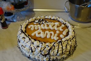 Desert tort Leo