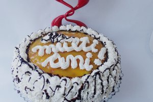 Desert tort Leo