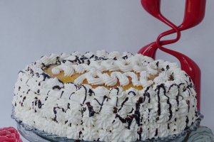 Desert tort Leo