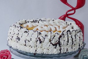 Desert tort Leo