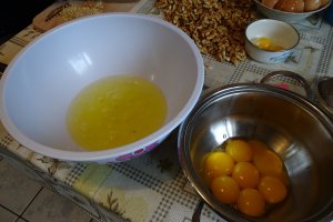 Desert tort Ema