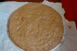 Desert tort Ema
