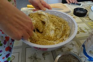 Desert tort Ema