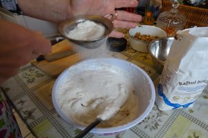 Desert tort Ema