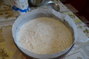 Desert tort Ema