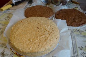 Desert tort Ema