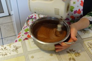 Desert tort Ema