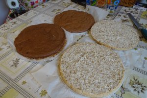 Desert tort Ema