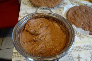 Desert tort Ema