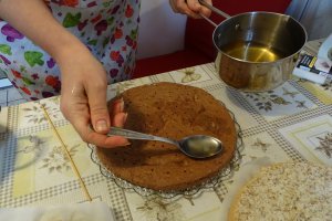 Desert tort Ema