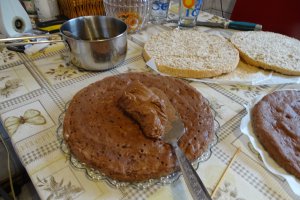 Desert tort Ema