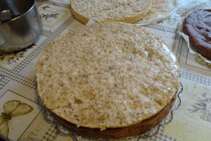 Desert tort Ema